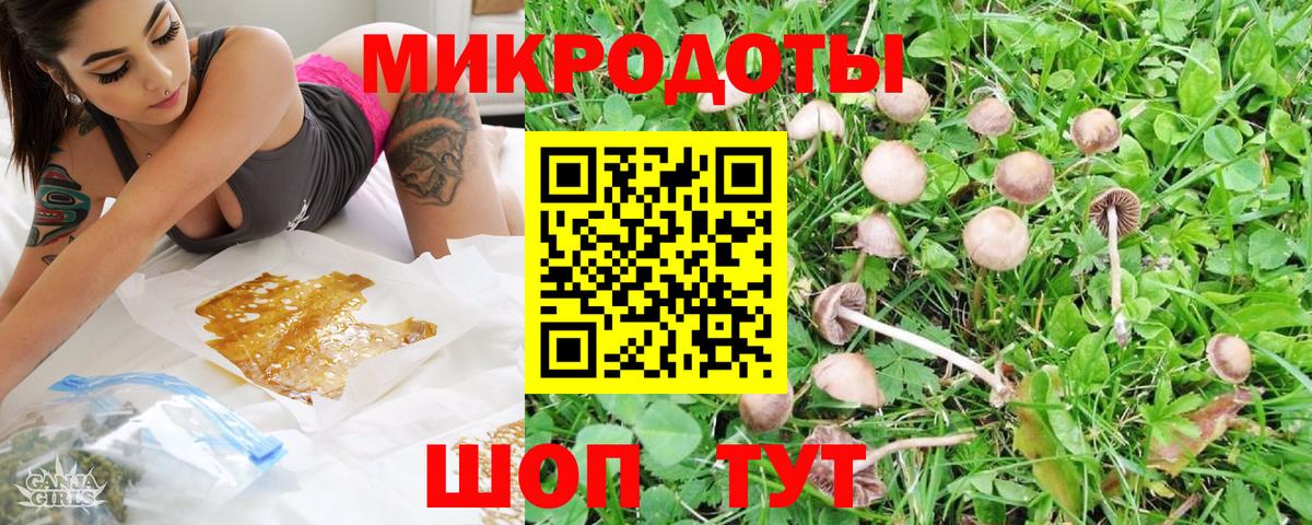 Псилоцибиновые грибы мухоморы Вязники